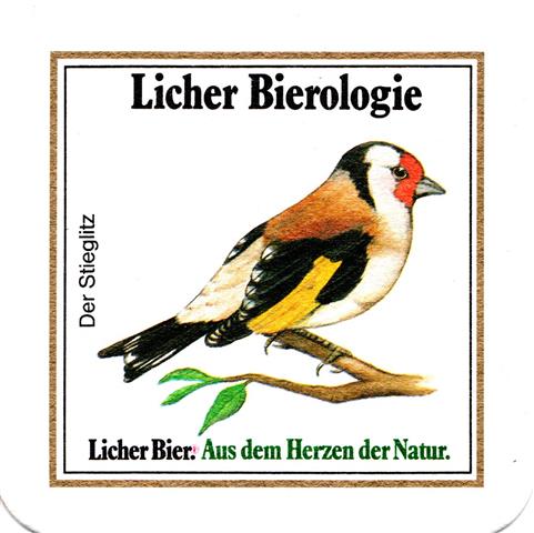 lich gi-he licher biero vgel rd 5b (quad185-das rotkehlchen)